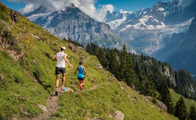 Themed Hiking Trails