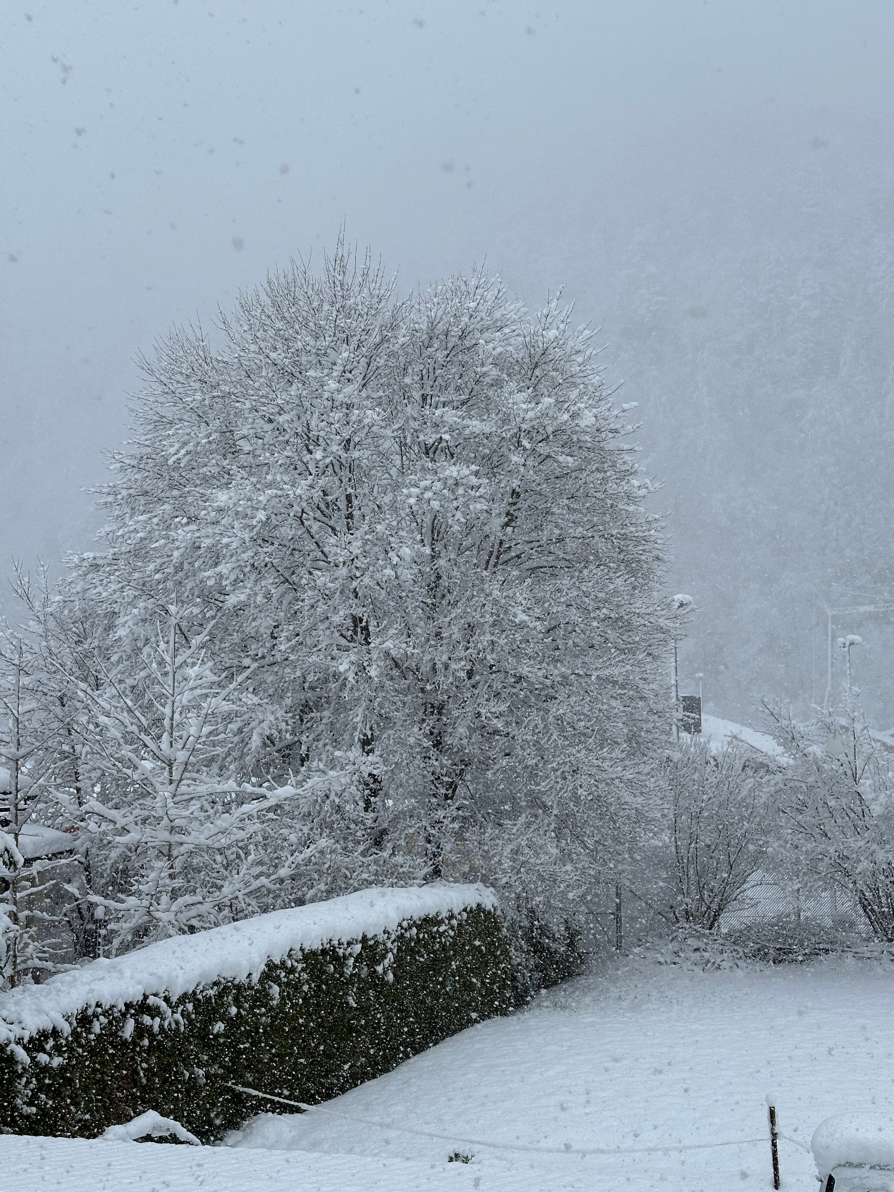 Last-Minute-Ski-Aufenthalt 3