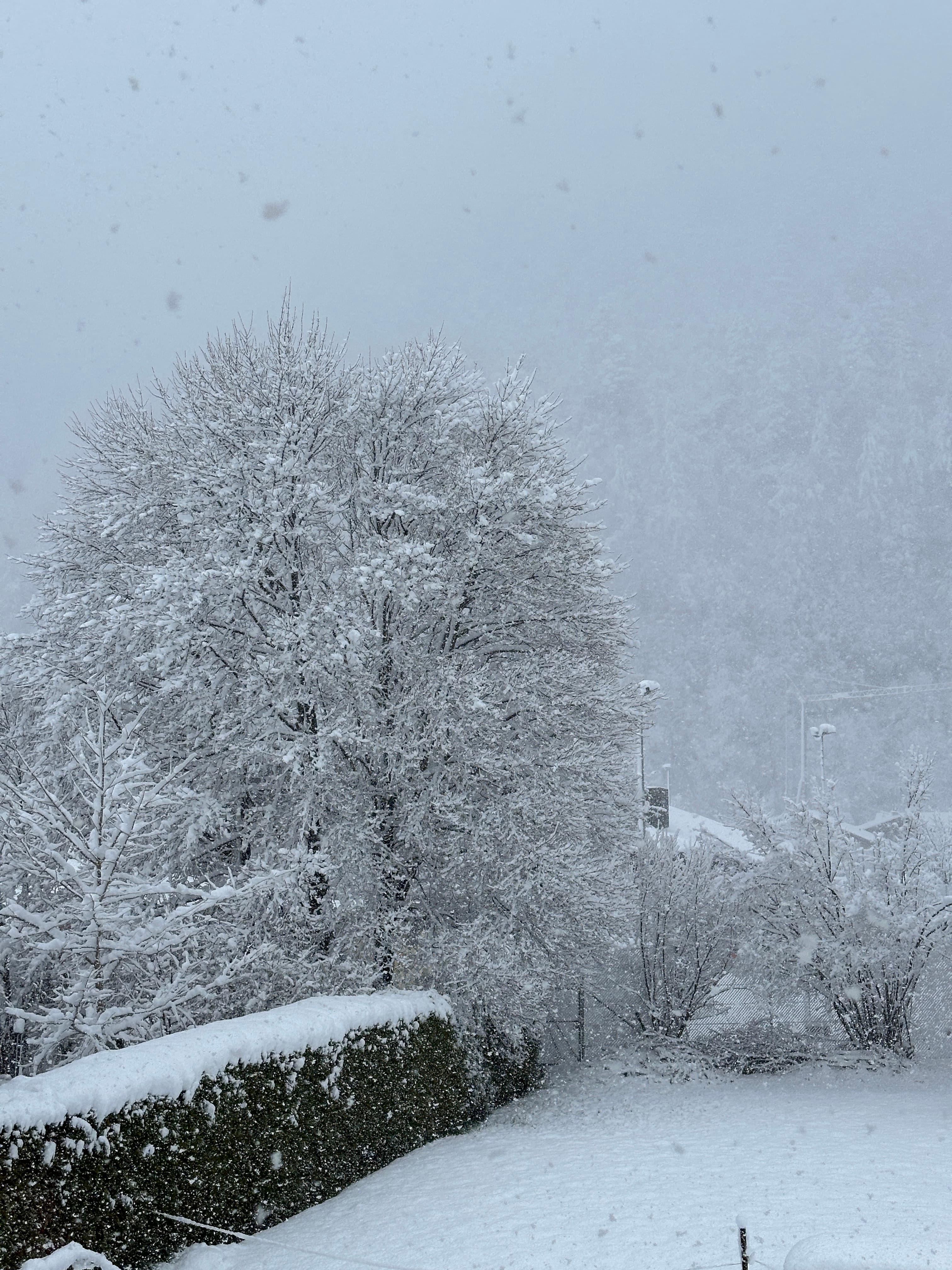 Schnee-Auszeit zu Zweit 3