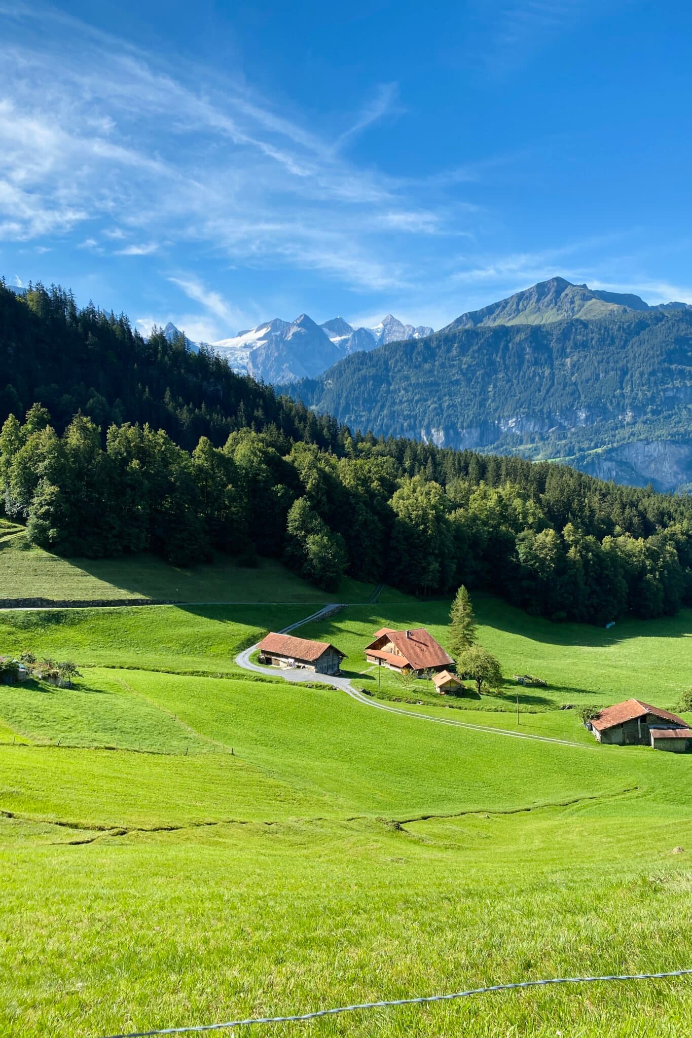 Discover Meiringen's Scenic Trails