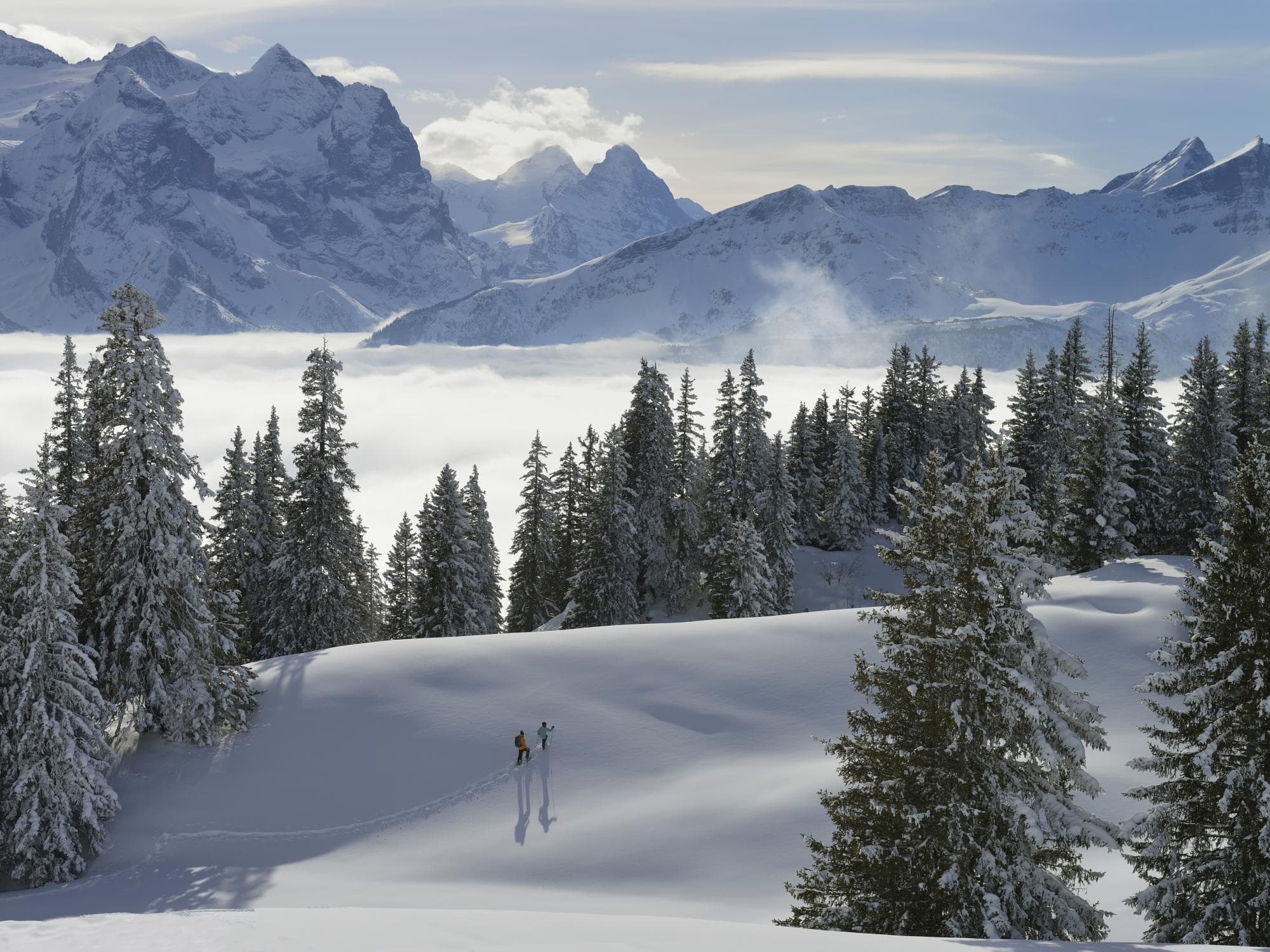 Escursioni invernali a Meiringen-Hasliberg: i migliori percorsi per una vacanza rilassante