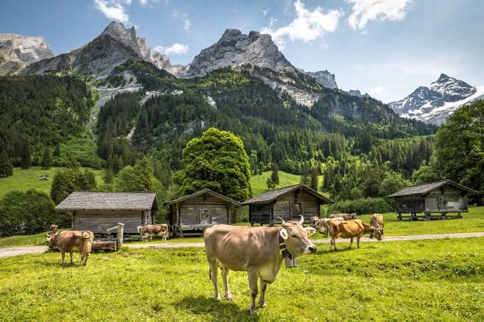 Related article image at Hotel Rebstock in Meiringen Übernachten in Meiringen oder Hasliberg: Welcher Ort passt am besten zu Ihrem Urlaub in den Schweizer Alpen?