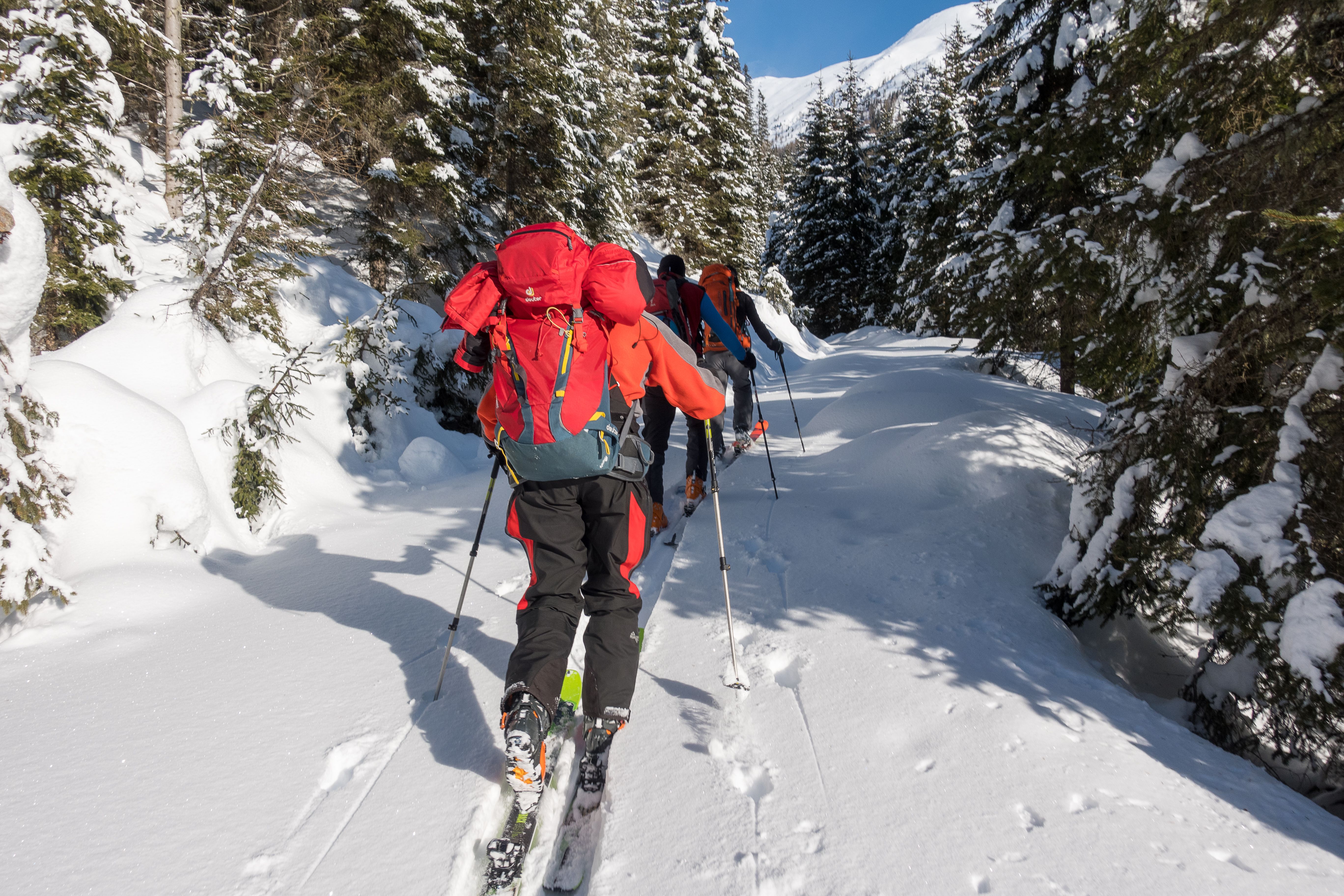 Solo Ski Stay at Hotel Rebstock Meiringen