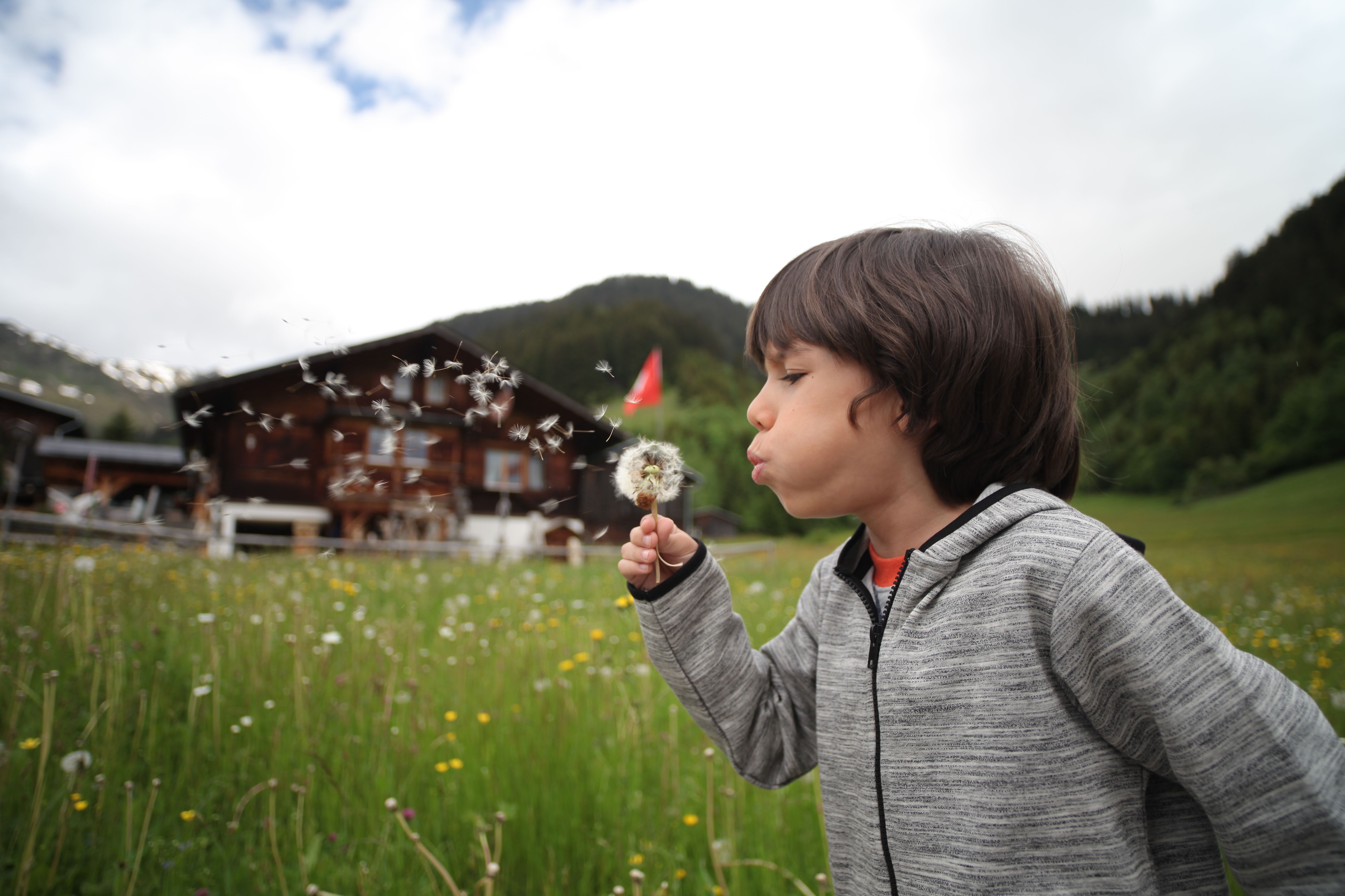 Family Accommodation in Meiringen–Hasliberg Where to Stay With Children